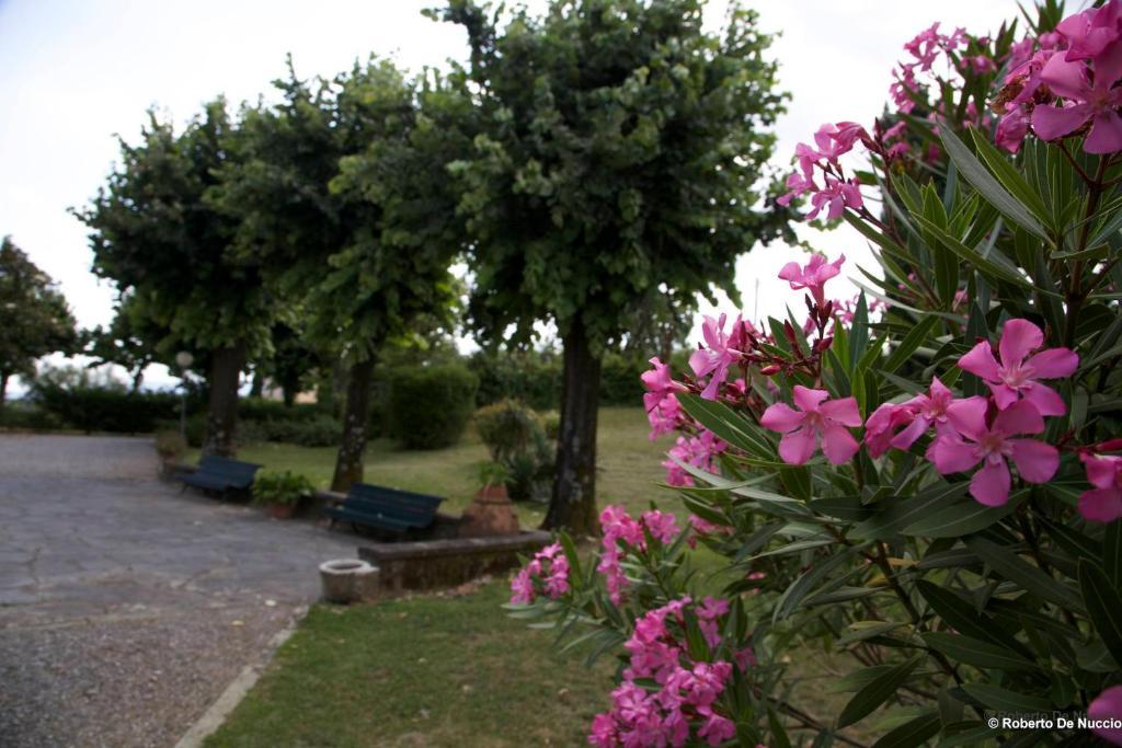 Tenuta Gaetano Spadaro Capannori Exterior photo